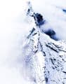 Carstensz Pyramid image